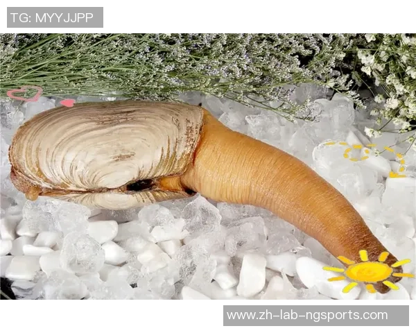 驴肉足球的魅力与文化探讨：美食与运动的奇妙结合之旅